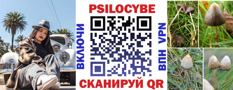 Галлюциногенные грибы Psilocybe  Купить  Терек 
